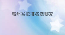 惠州谷歌排名选哪家 深圳谷歌排名服务选哪家