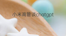 小米高管谈chatgpt布局(谷歌高管谈chatgpt)
