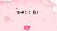 知乎如何推广 知乎推广技巧