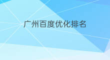 广州百度优化排名 广州百度排名优化团队