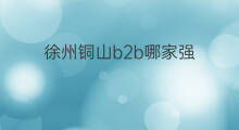 徐州铜山b2b哪家强 b2b哪家强