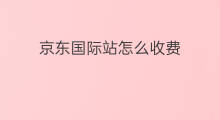 京东国际站怎么收费 国际站收费吗