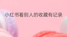 小红书看别人的收藏有记录吗 快手如何看收藏有多少