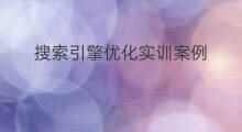 搜索引擎优化实训案例 搜索引擎优化实训报告