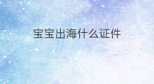 宝宝出海什么证件 出海要办什么证件