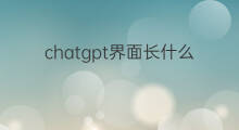 chatgpt界面长什么样 ChatGPT长什么样