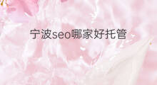 宁波seo哪家好托管 宁波seo哪家好发帖