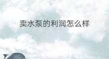 卖水泵的利润怎么样 卖水泵赚钱吗