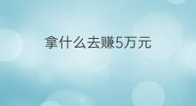 拿什么去赚5万元 拿什么去赚5万元钱