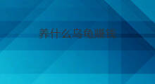 养什么乌龟赚钱 养乌龟赚钱吗
