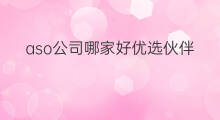 aso公司哪家好优选伙伴云 aso优化信任伙伴云