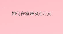 如何在家赚500万元 农村人怎么赚500万元