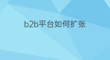 b2b平台如何扩张 b2b平台如何引资