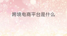 跨境电商平台是什么 1688是什么平台电商