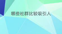 哪些社群比较吸引人 怎么用社群吸引人