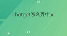 chatgpt怎么弄中文(手机chatgpt怎么弄中文)