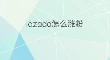 lazada怎么涨粉 SHOPEE怎么涨粉