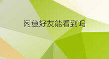 闲鱼好友能看到吗 闲鱼怎样加好友