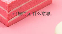 nft里的sol什么意思 1sol是什么意思nft