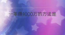一年赚1000万的方法是 一年赚23万的方法是