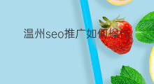 温州seo推广如何操作 温州seo推广公司费用