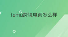 temu跨境电商怎么样 Temu卖得怎么样