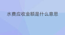 水费应收金额是什么意思 快手支付金额什么意思