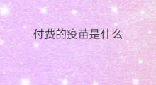 付费的疫苗是什么 中山哪里打付费疫苗