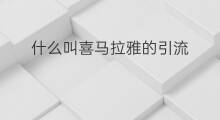 什么叫喜马拉雅的引流 喜马拉雅引流费用