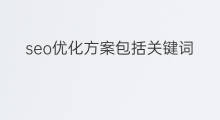seo优化方案包括关键词 扬州关键词优化方案