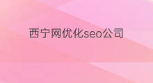 西宁网优化seo公司 西宁seo优化服务