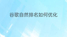 谷歌自然排名如何优化 谷歌首页自然排名优化