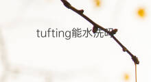tufting能水洗吗 tufting地毯脏了能水洗吗
