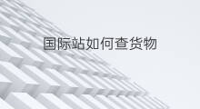 国际站如何查货物 国际站如何查货款