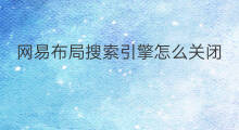 网易布局搜索引擎怎么关闭 定西搜索引擎口碑如何布局