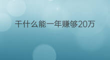 干什么能一年赚够20万 干什么买卖一年能赚20万