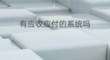 有应收应付的系统吗 应收应付管理系统怎么查询