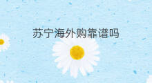 苏宁海外购靠谱吗 苏宁海外购怎么样