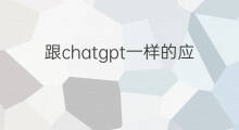 跟chatgpt一样的应用(什么软件跟快手一样的软件)