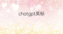 chatgpt英标(chatgpt提问技巧汉译英)