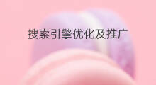 搜索引擎优化及推广 江干区搜索引擎推广优化