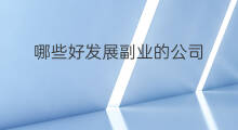 哪些好发展副业的公司 哪些好发展副业的工作