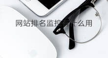 网站排名监控有什么用 网站收录有什么用