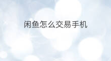 闲鱼怎么交易手机 闲鱼怎么交易安全