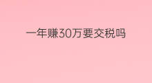 一年赚30万要交税吗 女人如何一年赚30万