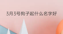 3月3号狗子起什么名字好 3月6号起什么名字好