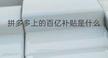 拼多多上的百亿补贴是什么 拼多多什么时候百亿补贴 拼多多上的百亿补贴是什么 拼多多什么时候百亿补贴