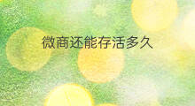 微商还能存活多久 跨境电商还能存活多久