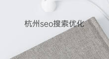 杭州seo搜索优化 杭州seo网站优化