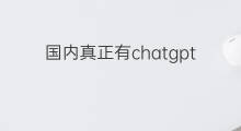 国内真正有chatgpt技术的公司 国内有chatgpt技术的公司